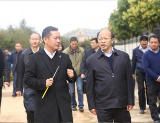 云南省委常委、副書記李秀領(lǐng)一行到苗鄉(xiāng)三七科技示范園考察調(diào)研