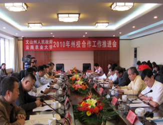 苗鄉(xiāng)三七與云南農(nóng)大簽署校企合作協(xié)議，構(gòu)建了戰(zhàn)略聯(lián)盟關(guān)系