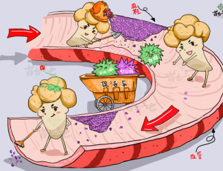 血瘀體質(zhì)的表現(xiàn)與癥狀，如何用三七活血化瘀