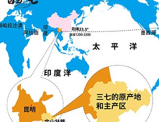 三七產(chǎn)地哪里的最好，廣西田七與云南三七有何區(qū)別