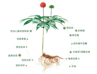 三七救人無國界，美軍飛行員曾受益