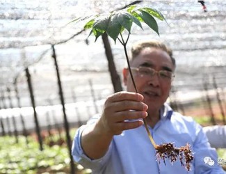 張伯禮院士這樣說三七！