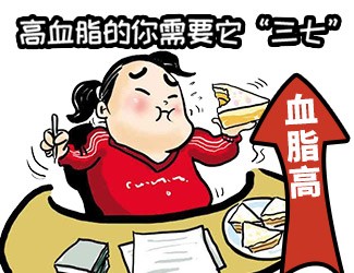 高血脂頭昏天旋地轉，三七還我一片天清氣朗