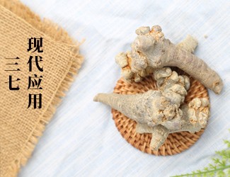 三七的功效作用在現代臨床中的應用，揭秘醫(yī)生如何用三七治病
