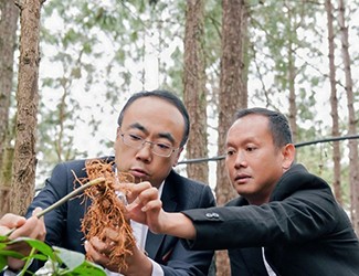 三七良種喜獲豐收，實(shí)現(xiàn)產(chǎn)量含量雙突破！