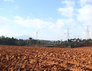 三七土壤危機(jī)何解？官會林教授開出“生態(tài)藥方”