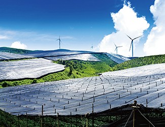 董林林博士如何看待苗鄉(xiāng)全產(chǎn)業(yè)鏈品控管理體系？